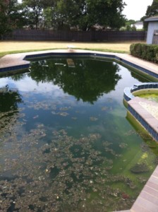 grungePool600