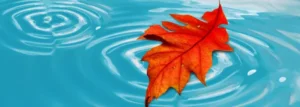 swimming in fall