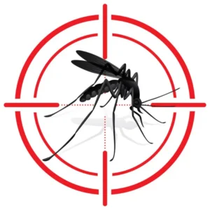 mosquitoes