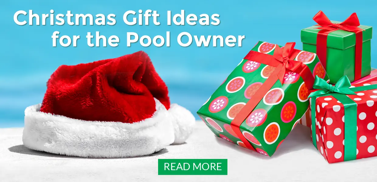Christmas Gift Ideas for the Pool Owner