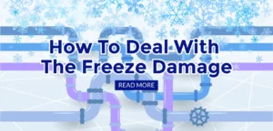 Freeze Damage after the thaw