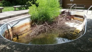 Pool in Need of Attention