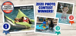 2020 Photo Contest Winners