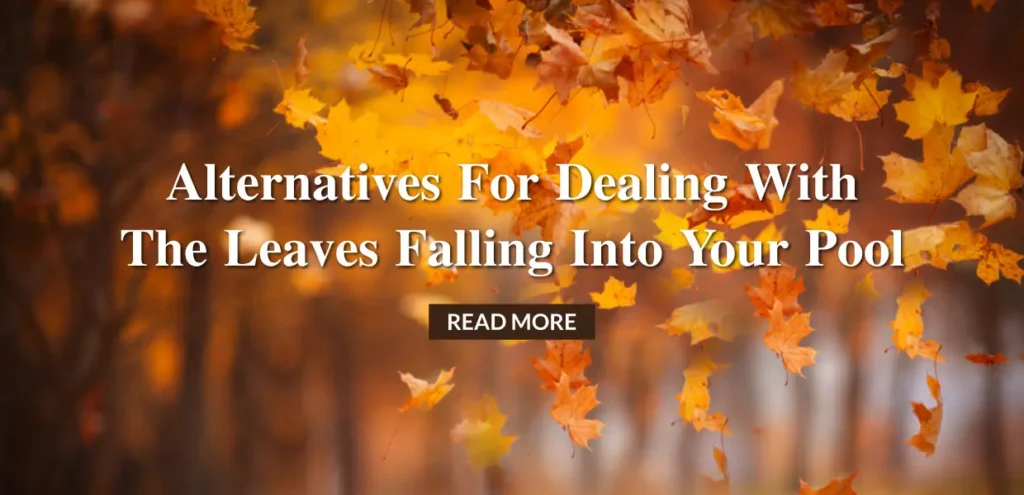 Alternatives for dealing with leaves falling into your pool