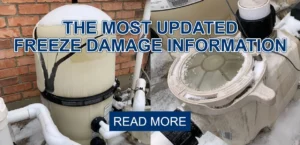 The Most Updated Freeze Damage Information