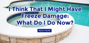 I think I might have Freeze Damage -- Read More