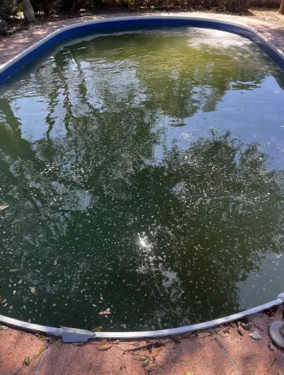 Picture of a dirty pool that's has algae growing in it.