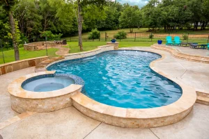 Freeform style pool.
