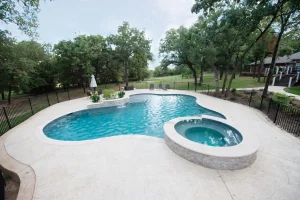 Freeform style pool.