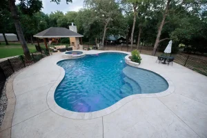Freeform style pool.