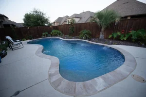 Freeform style pool.