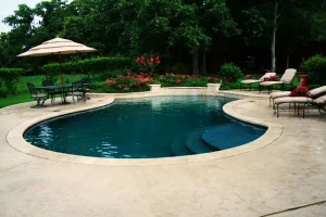 Freeform style pool.