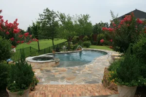 Freeform style pool.