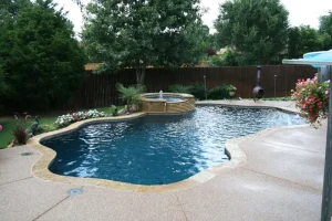 Freeform style pool.