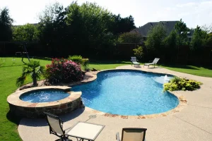 Freeform style pool.