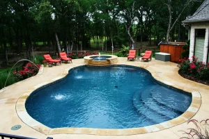 Freeform style pool.