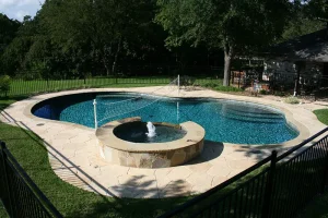 Freeform style pool.