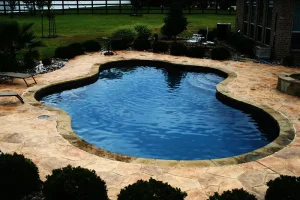 Freeform style pool.