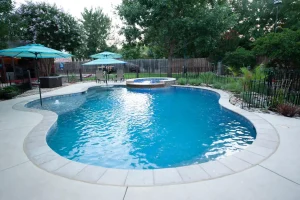 Freeform style pool.