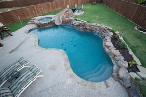 Freeform style pool.
